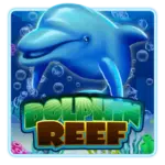 Dolphin Reef slot game at HENG ONG BET SLOTS GAMES