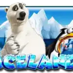 HENG ONG BET SLOTS GAMES - Iceland slot featuring a polar bear and penguin